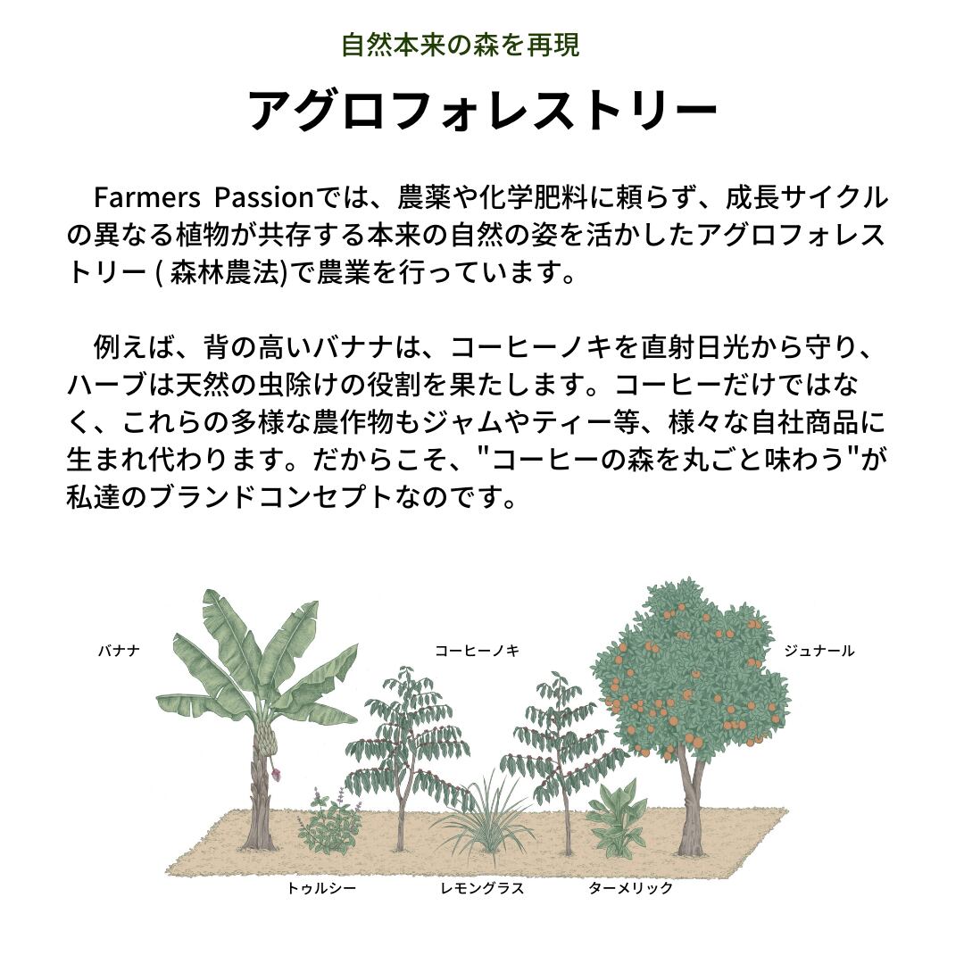 ☆オーガニックコーヒー アメリカン フェアトレード 1kg コーヒー豆 ネパール ☆オーガニックコーヒー アメリカン フェアトレード 1kg コーヒー豆